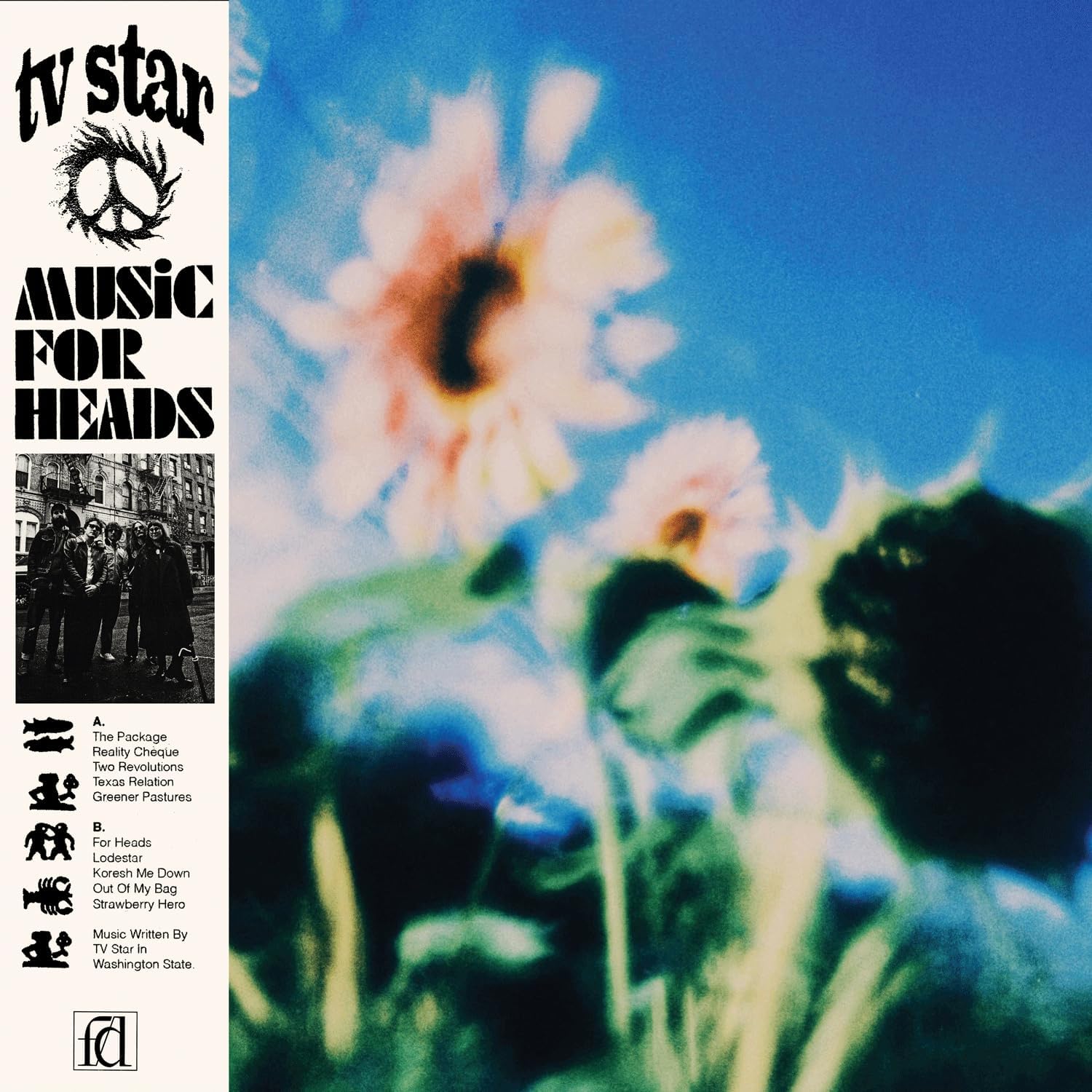 Music for Heads - Blue by TV Star — album cover