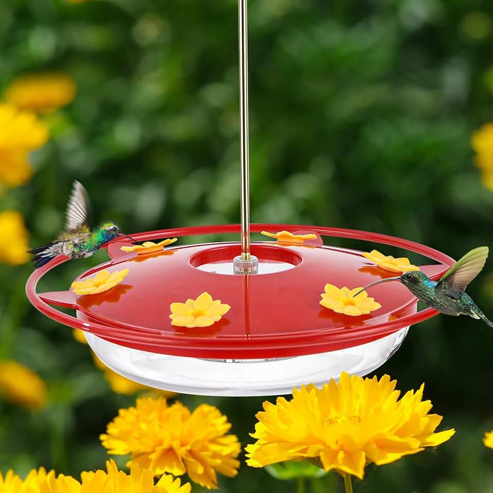 bird feeders for small birds only