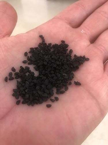 Park Seed Semillas de cebolla híbrida de caramelo, suculentas y dulces, paquete de 200 semillas