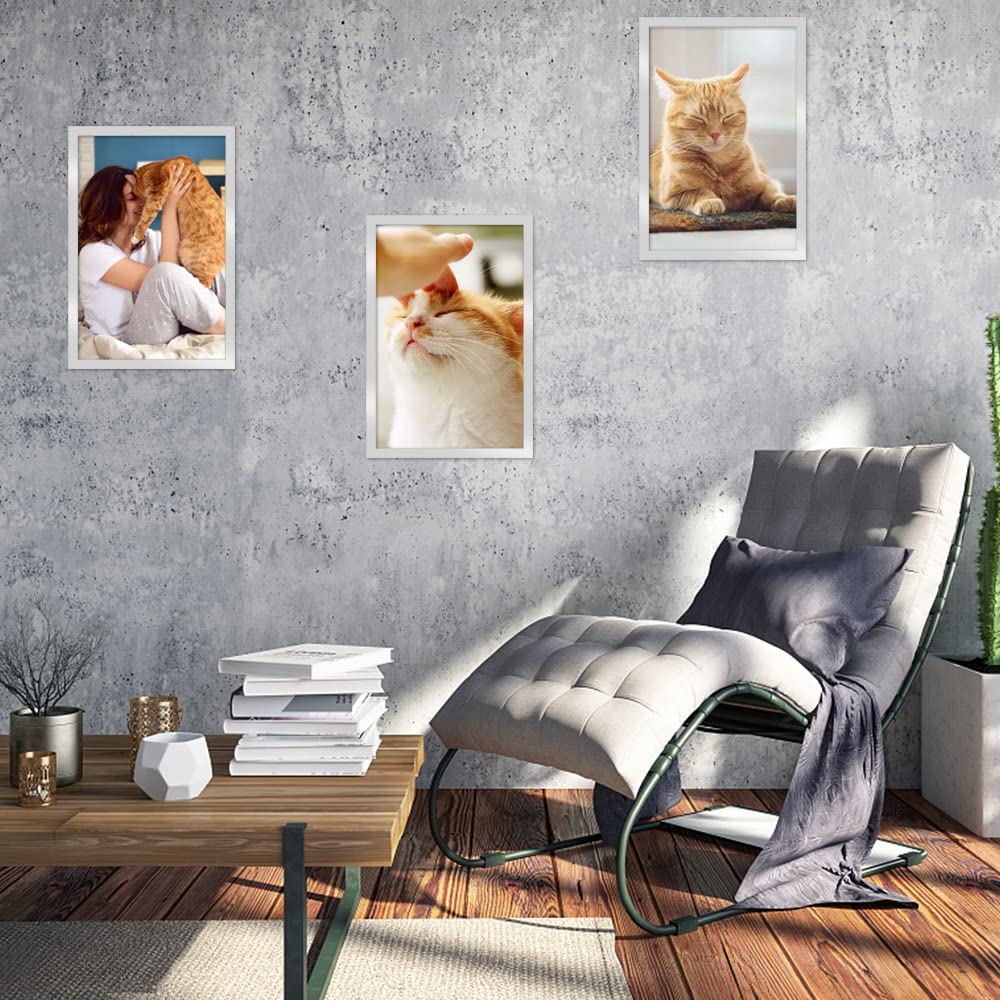 Cornici Magnetiche A4 10 Pezzi Nero - Per Foto E Poster Autoadesive - Foto 4