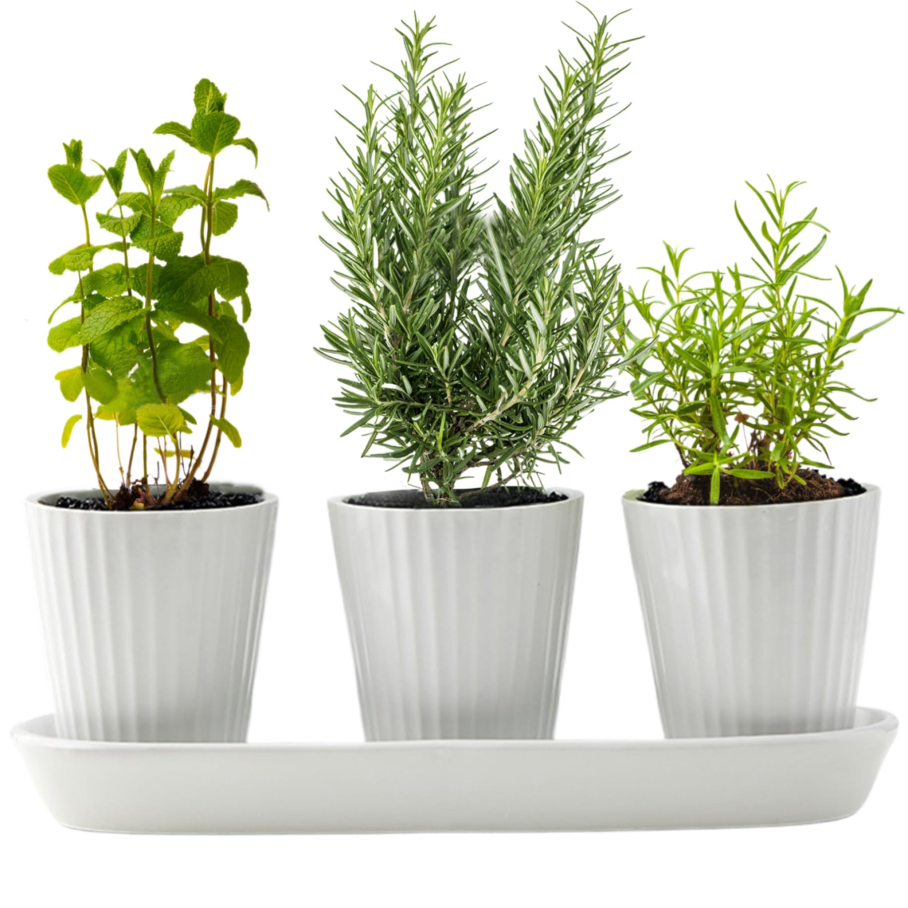 Jardinière d'herbes en céramique 3 pièces avec pot de fleurs intérieur 3,4x3,7