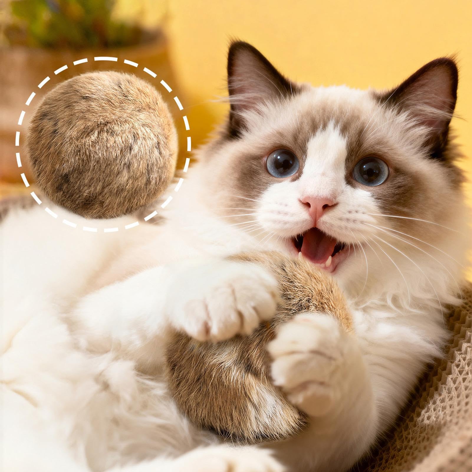 Generico Palla Giocattolo per Gatti Da Morbidi Per