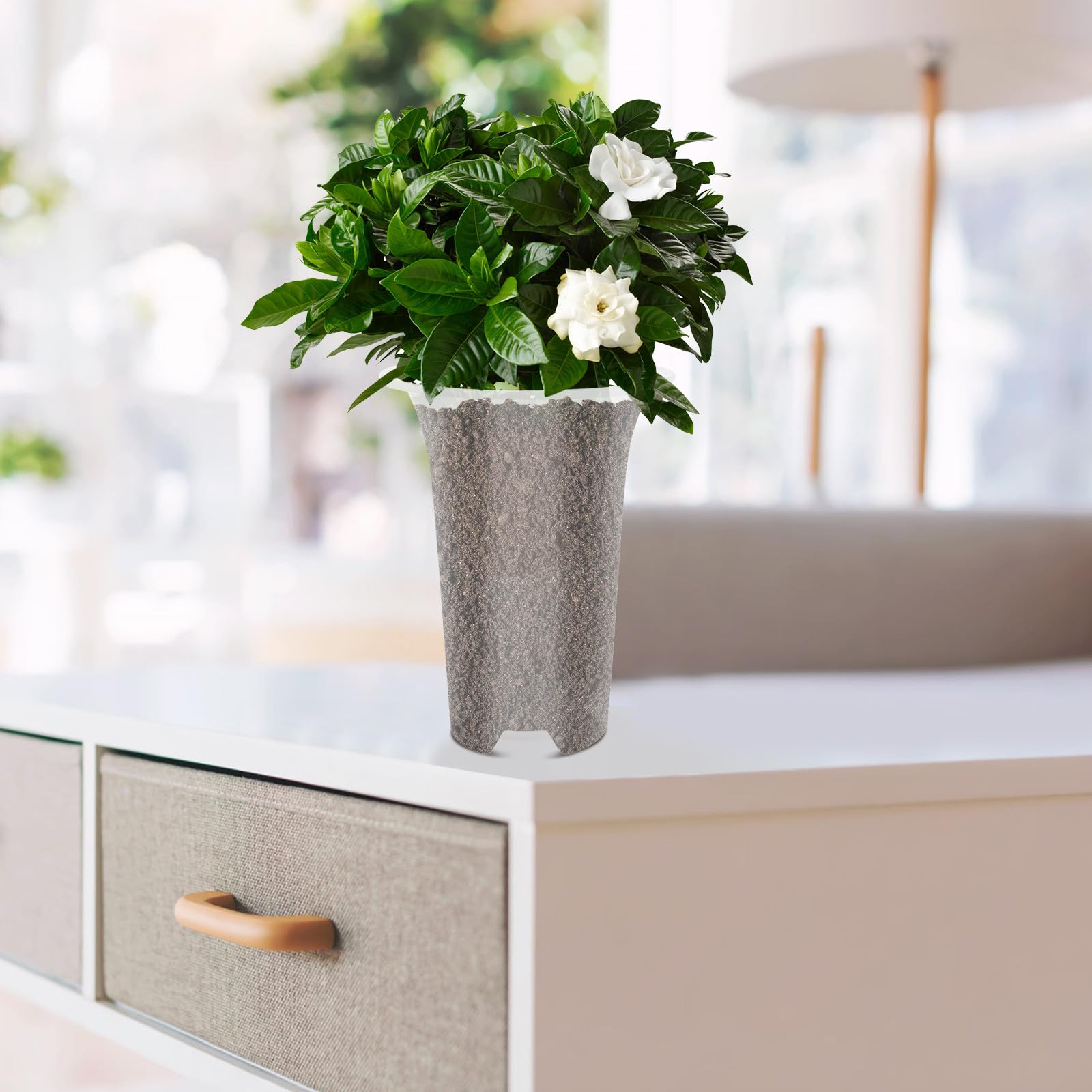 5 Piezas Macetas para Orquídeas Domésticas de Plástico