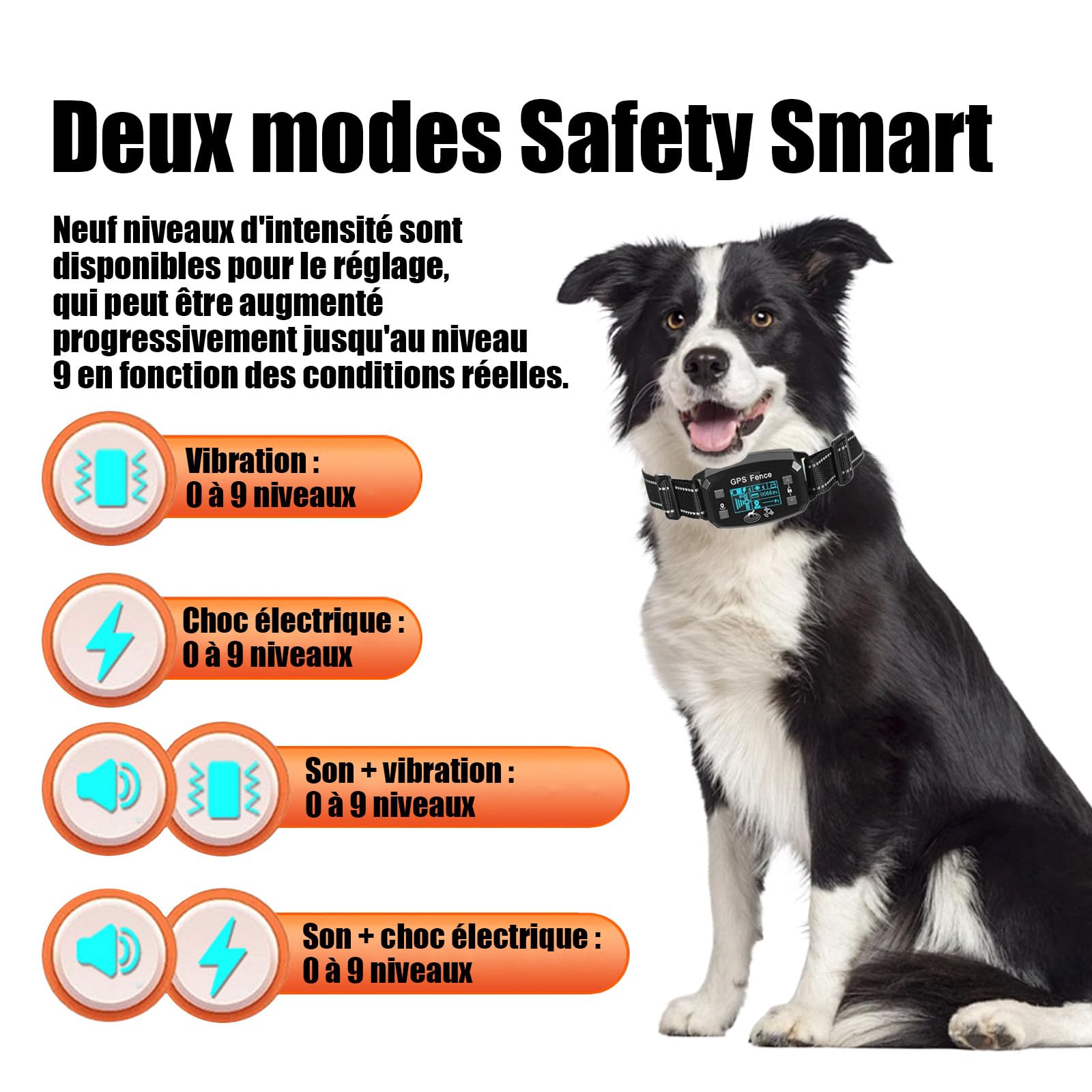 Billg Collier de Dressage pour Chien, Résistant à L’Eau Collier de Dressage sans Fil GPS, 3 Modes Clôture Anti-Fugue pour Grands Espaces Ouverts, Portée de 30 à 2000m, 9 Niveaux de Sensibilité