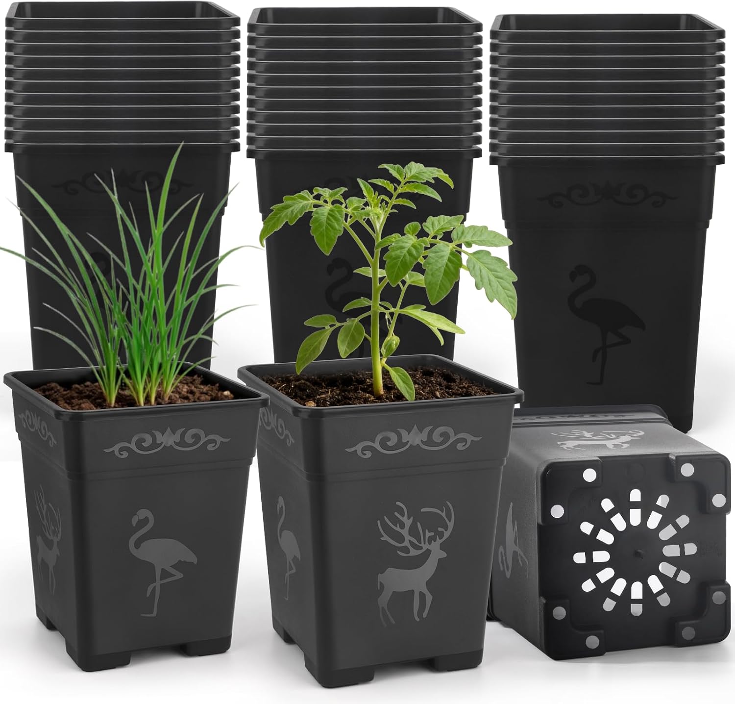 36 Pack 5.5 Inch Square Nursery Pots, Plastic Flower Pots with Drainage, Plant Pots for Plants, Reusable Planting Pots Planter for Seedlings, Transplanting & Indoor Use