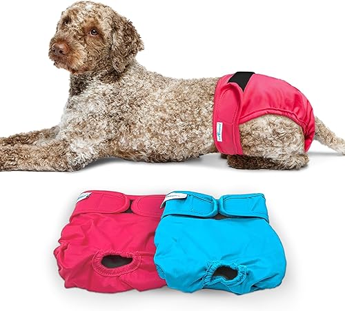 Paw Inspired Pañales lavables para perros, pañales reutilizables para perros, pañales para perras, pañales absorbentes para perros, 2 piezas, varios