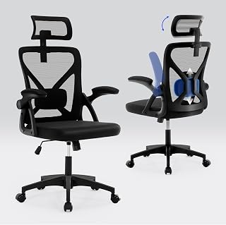 Fizzin Schwarz Bürostuhl Ergonomisch mit Verstellbarer Kopfstütze, Armlehnen, Lendenwirbelstütze, Mesh Computerstuhl, hohe Rückenlehne für Büro, Gamer und Home Office