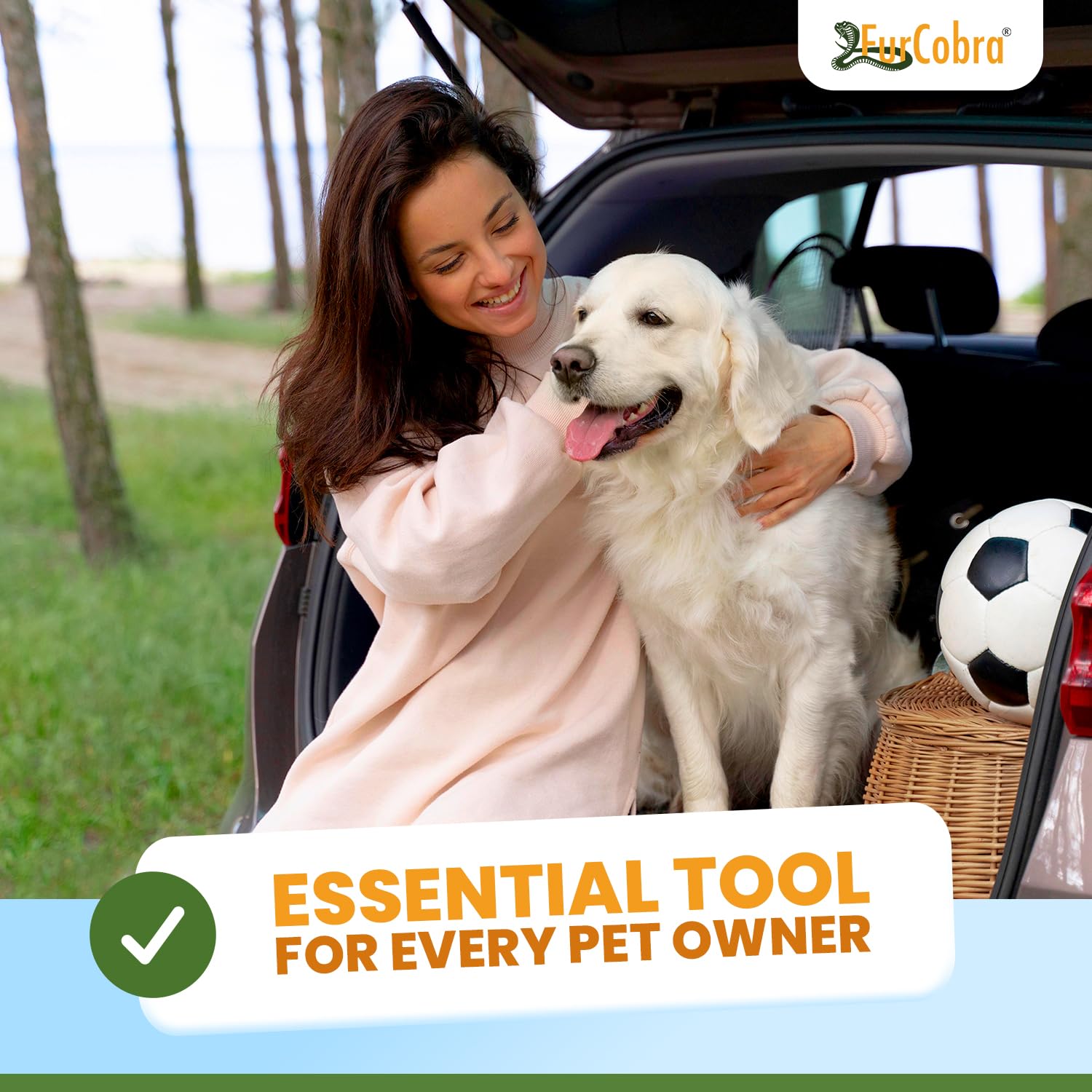 Pro Épilateur pour Animaux de Compagnie de Voiture 11,9 cm – Outil léger et Compact pour enlever Les Poils de Chats et de Chiens, grattoir pour lit, canapé, Tapis, Surfaces de la Maison