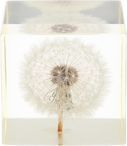 Miniatura 5 de ARTIBETTER Estatua de espécimen de hojaldre real de diente de león 3D en cubo de cristal de cristal, adorno de escritorio, decoración Fengshui para