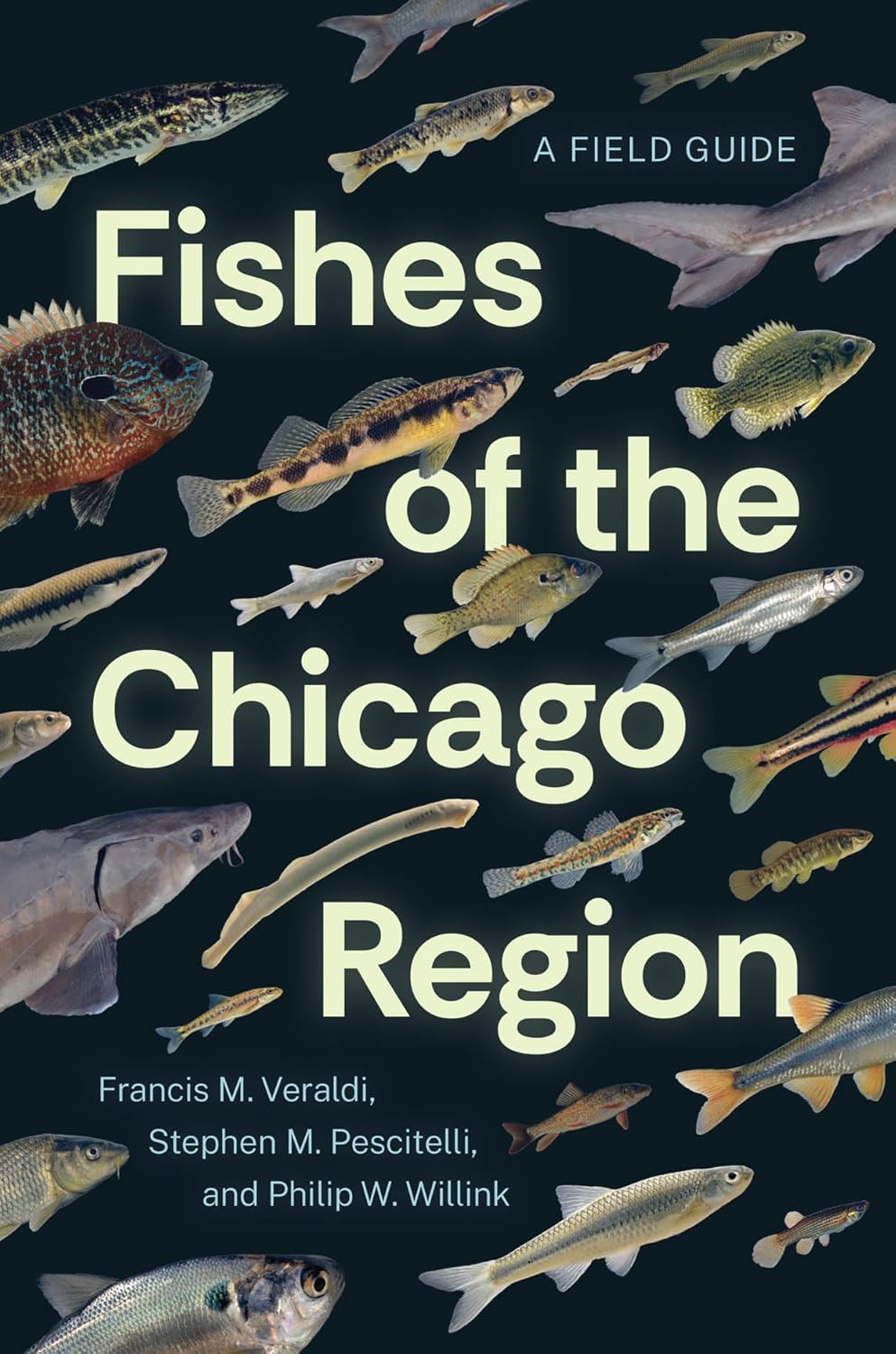 Fishes of the Chicago Region: A Field Guide      Paperback – May 28, 2025