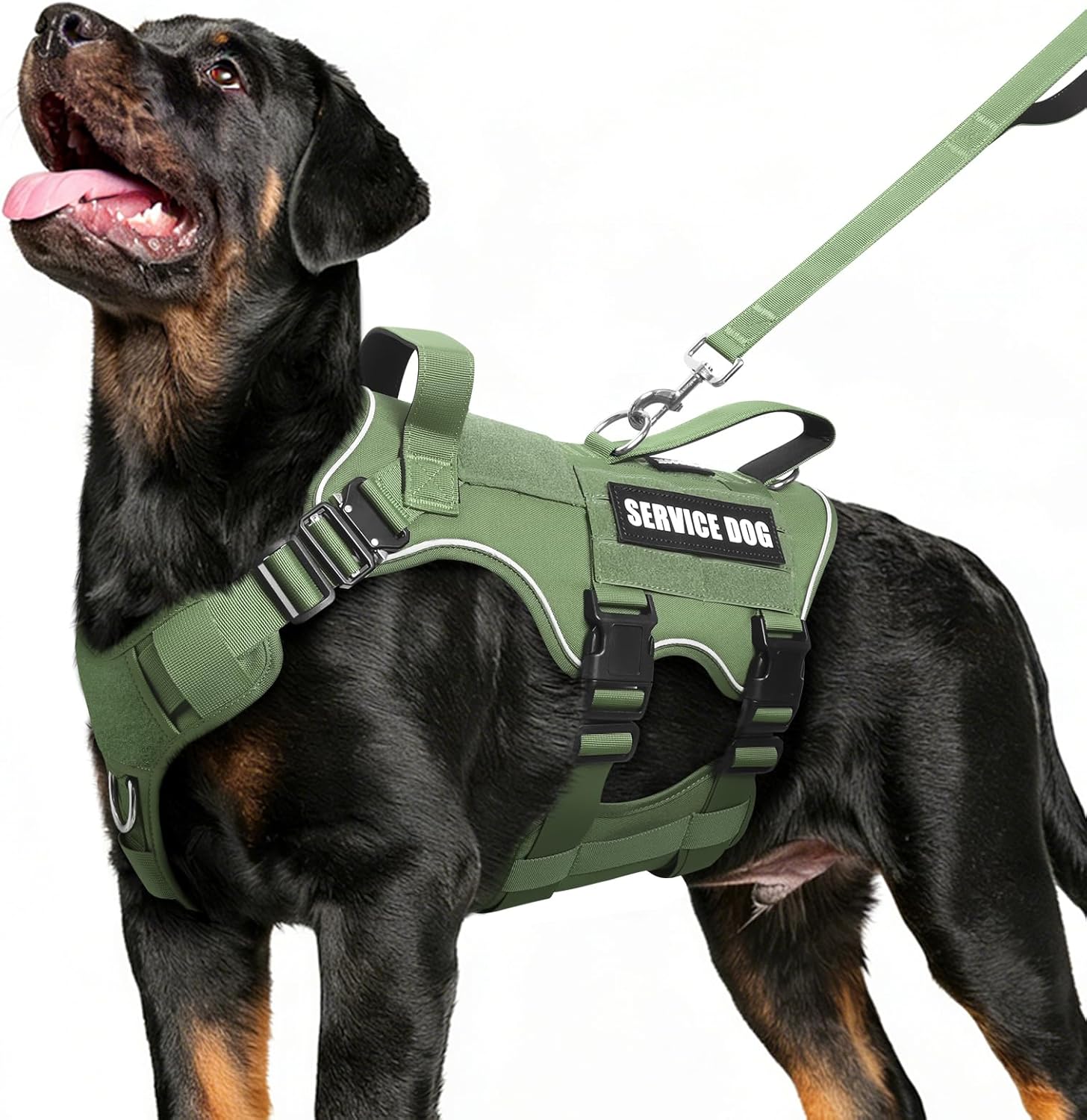 Tactical Service Dog Vest Harness and Leash Set,Heavy Duty Dog Harness with Metal Buckles for Large Dogs,Adjustable No Pull Pet Vest with 10 Patches,for Training Working Hiking,Green XL