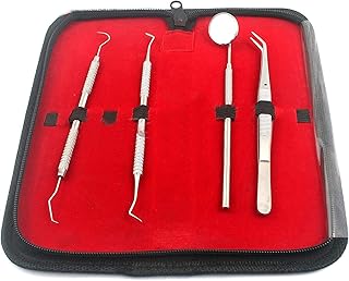 PRECISE CANADA: Dental Instruments Hygiene KIT - Set of 4 Dentist Tools + Pouch New