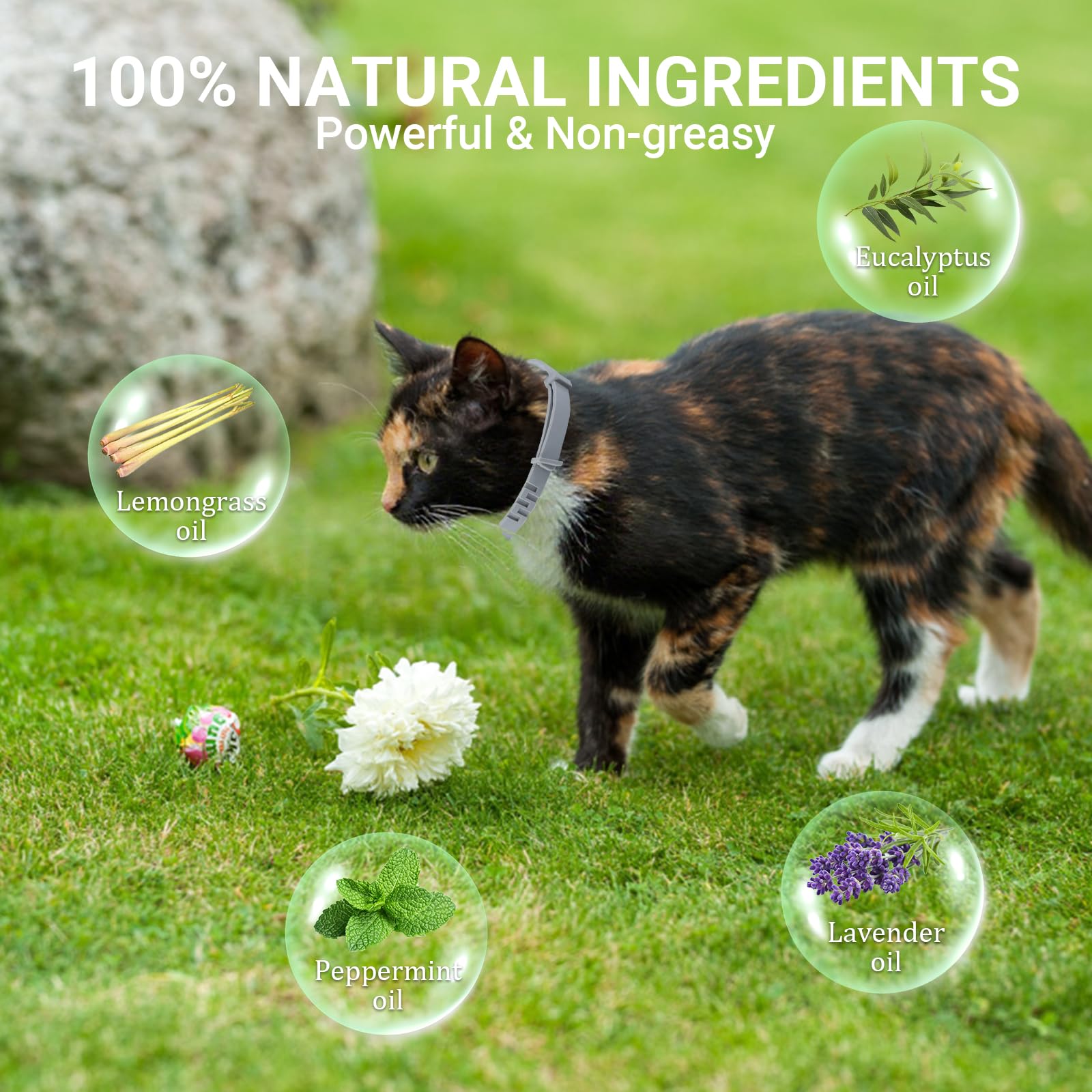 2 Pack Cat Collar with Natural Essential Oils, Gentle Everyday Protection, Each Lasts Up to 8 Months - Image 2