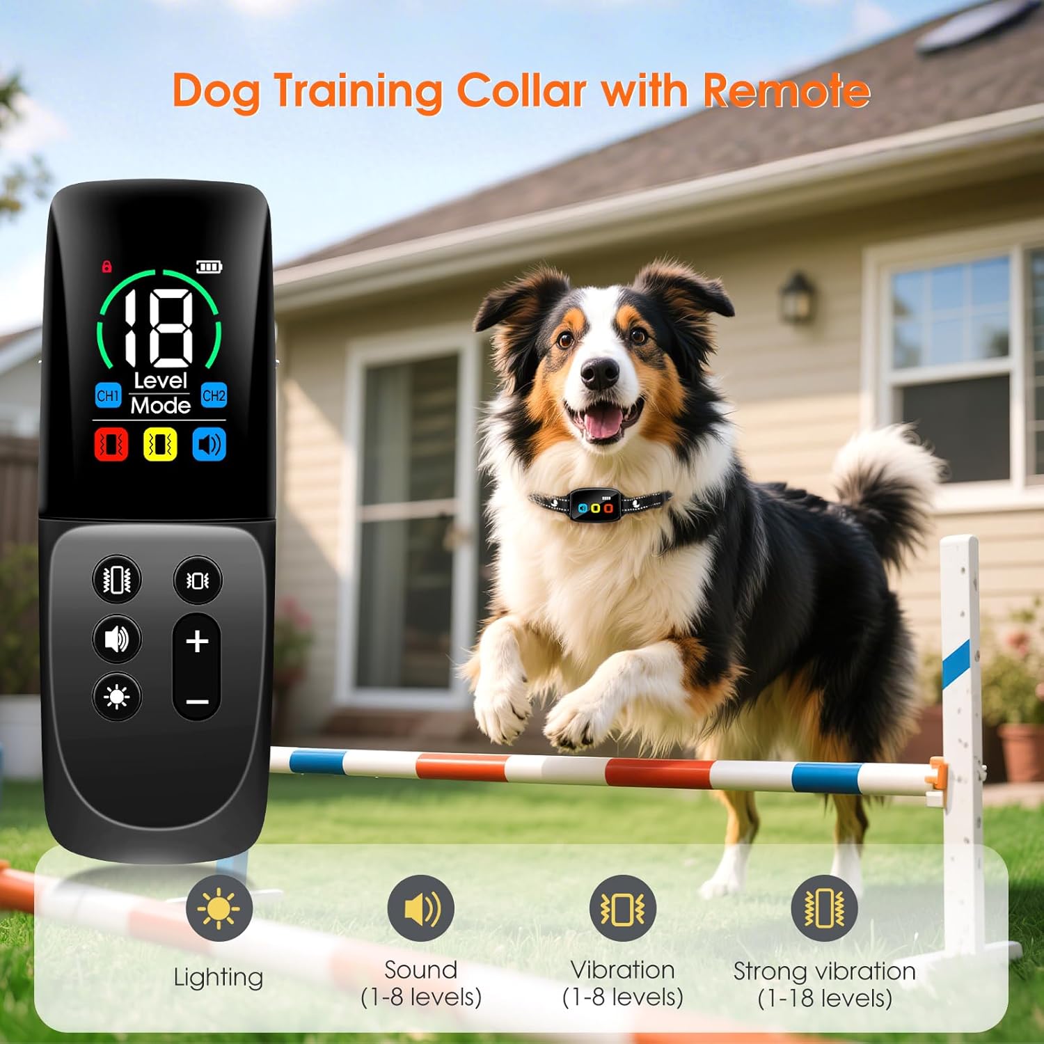 Télécommande et collier antia­boiement avec écran couleur