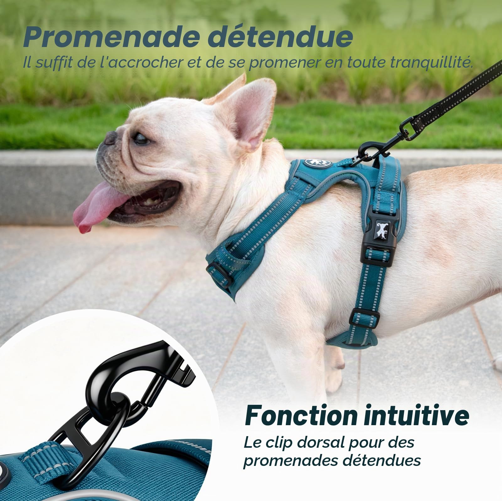Poypet Harnais pour Chien sans Pull - RéFléChissant - Gilet pour Chien - RéGlable Et Doux - avec PoignéE Easy Control - pour Petits Et Grands Chiens (Bleu Sarcelle,Size, S)