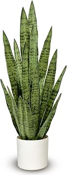 Fake Snake Plant 3FT, 35in Artificial Potted Plant with White Pot
