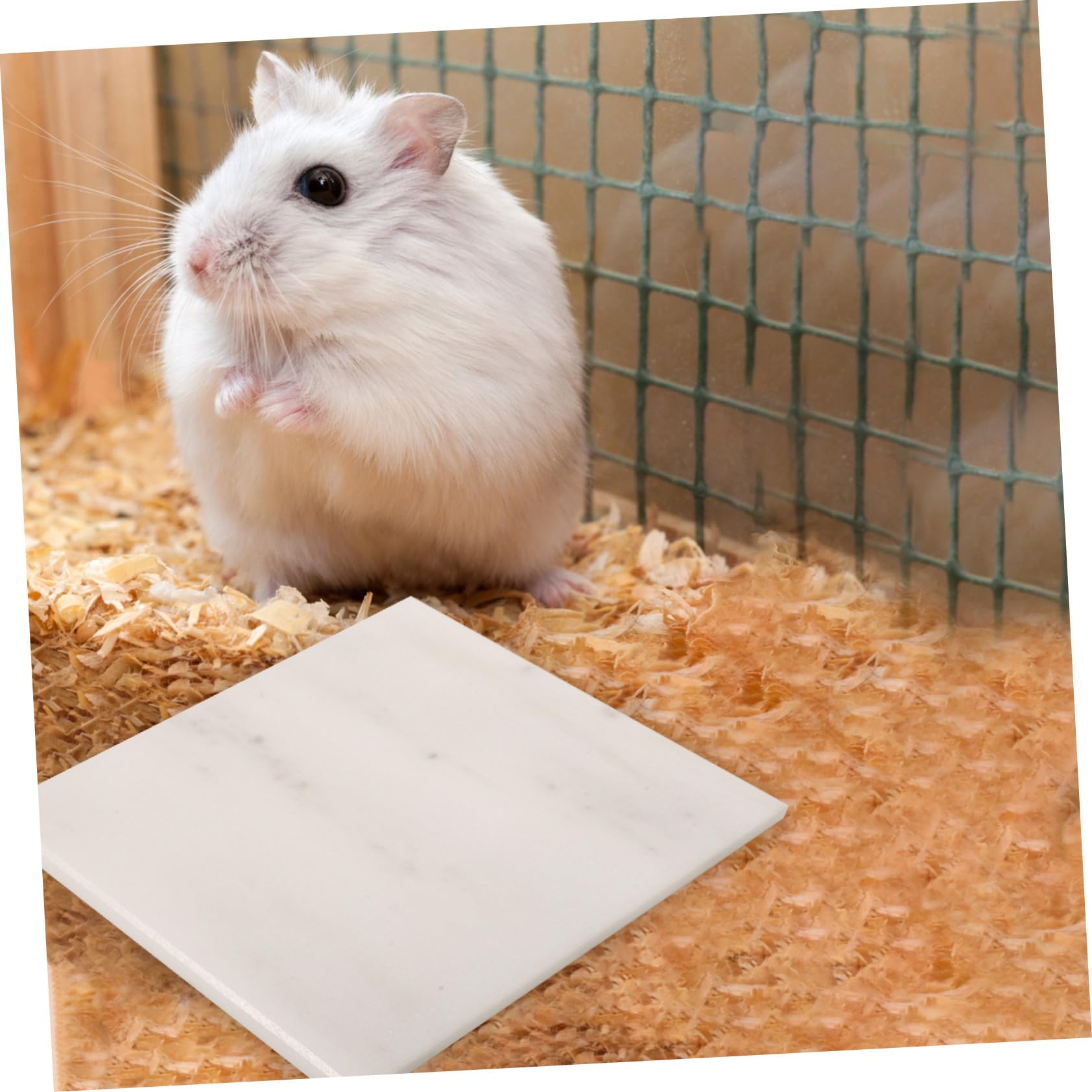 BESTonZON Tappetino Refrigerante per Conigli e Criceti in Marmo Naturale, Senza Congelamento, Riciclabile, per L'Estate e Piccoli Animali Domestici