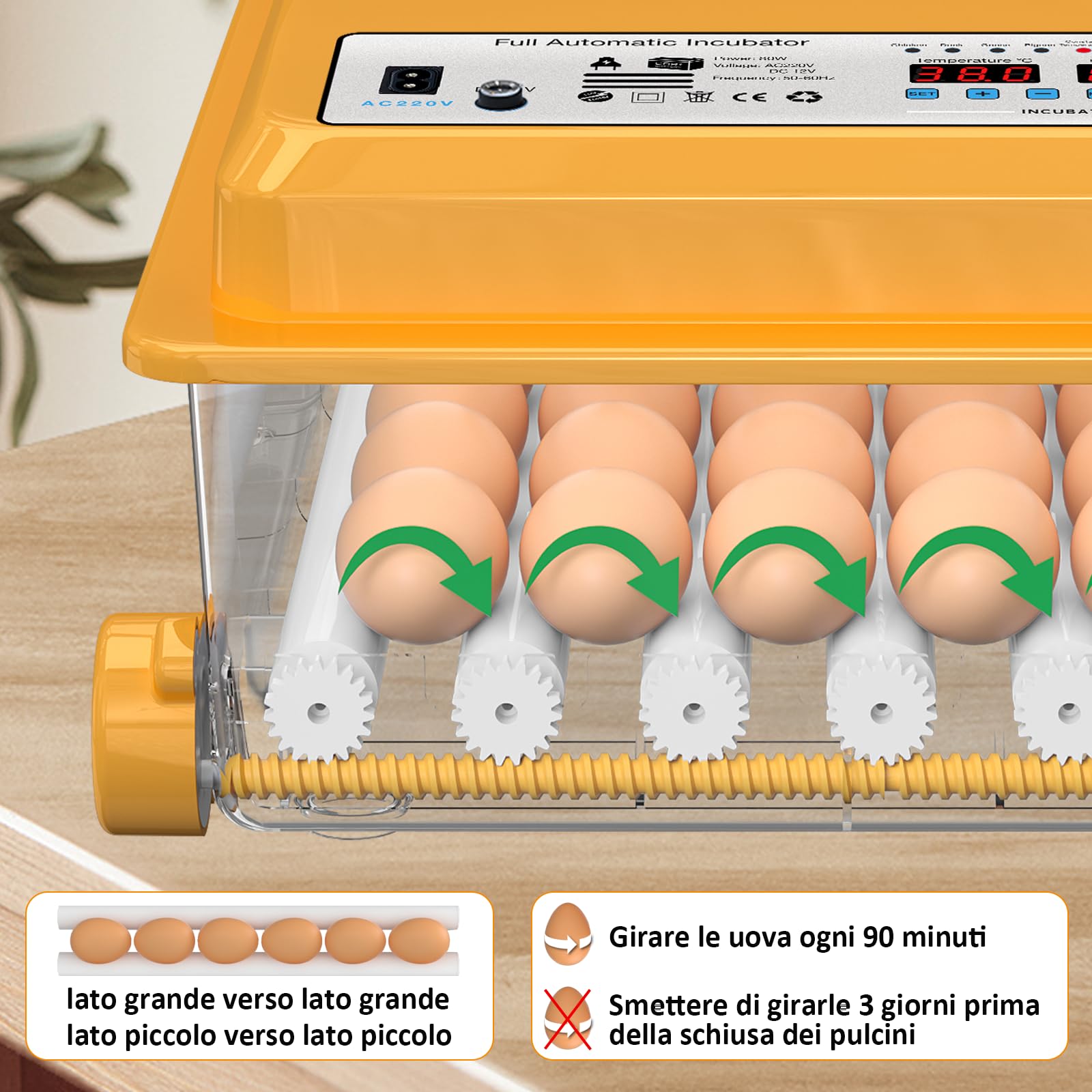 Chalixion Incubatrice per Uova Automatica, Incubatrice per 36 Uova Gallina con Controllo Temperatura, 5 Modalità di Incubazione Automatica, Display Umidità, Riempimento Automatico dell'acqua e Girando