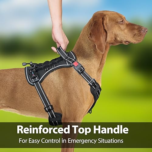 Miniatura 7 de PHOEPET Arnés táctico sin tirones para perro, chaleco de servicio con paneles Molle y bucle, fácil control con asa para perros grandes (negro, XL)