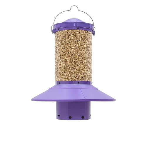 Wingscapes Automatic Fish Feeder for Koi and Indoor Aquaculture