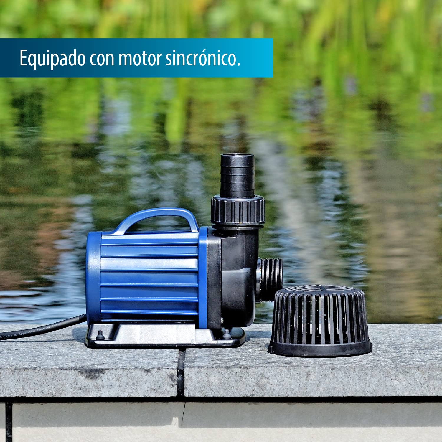 Acquaforte di stagno/Filtro Pompa DM 3500