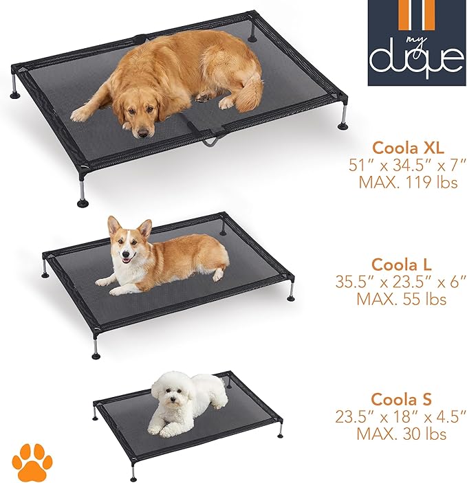 Cama Elevada para Perro Pequeño 60x46cm Lavable y Plegable miniatura 6