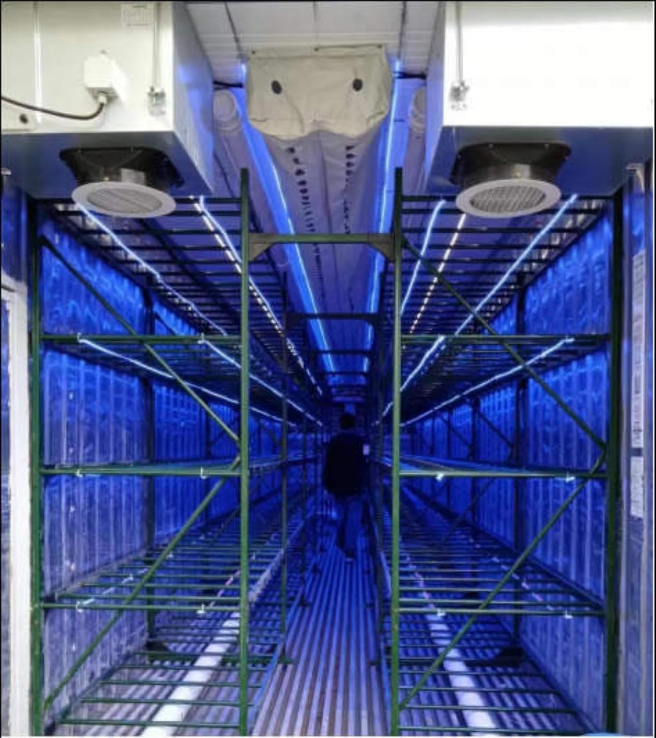 Shipping Container Mushroom Farm, Remote Control, Climate Controlled Mushroom Container, Ideal for Commercial Large Mushroom Farm