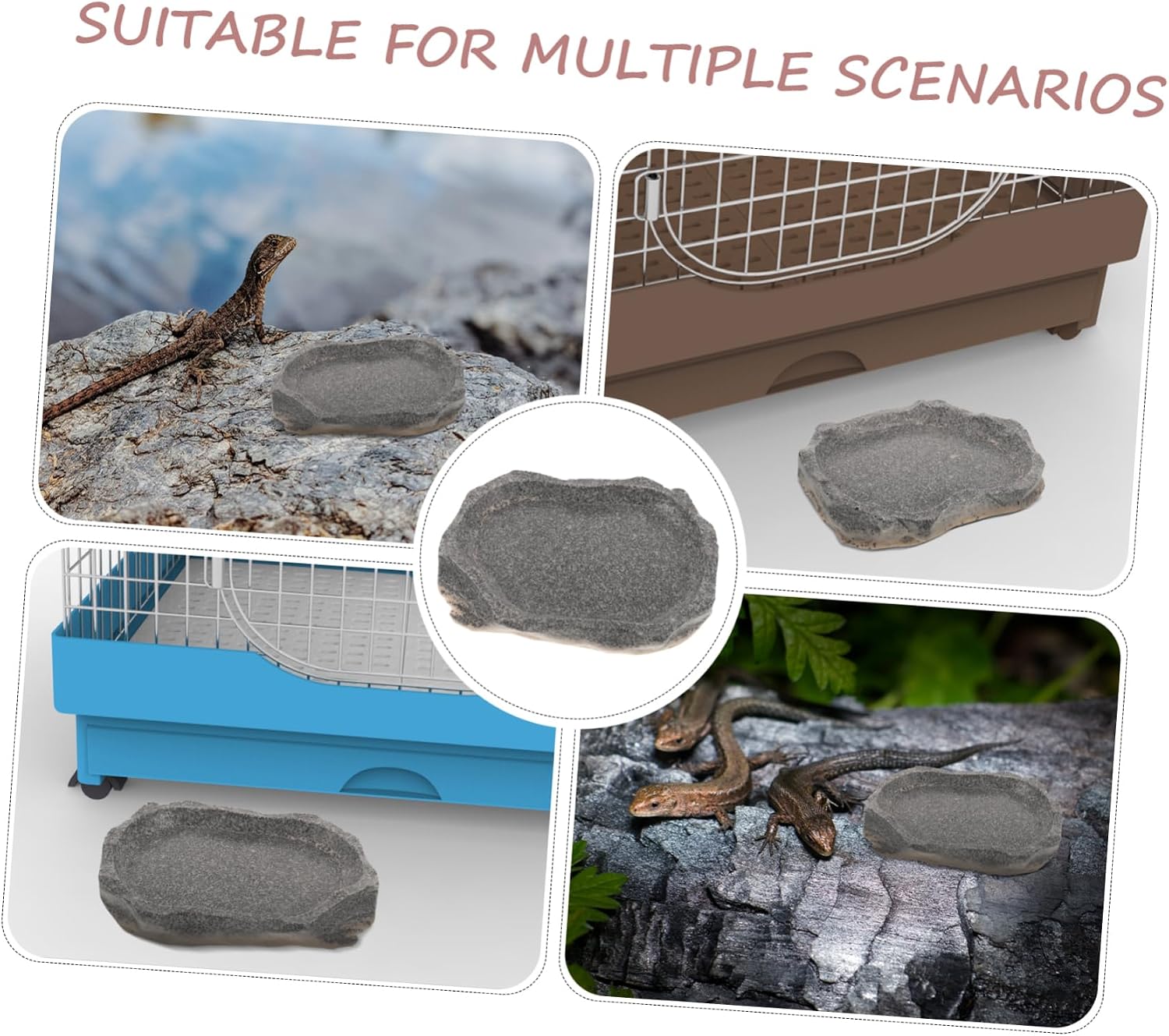 Terrarium Feeder Reptile Food Bowl for Snakes Frogs Lizards Decorative Resin Reptile Bowl