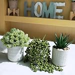 Ensemble de 3 Assortiment de petites plantes à succulent en pot Faux Aloe String of Pearls Hop Succulents en béton géométrique gris Pots en céramique pour cadeaux Bureau de la maison moderne Table intérieure extérieure Greenery Decor