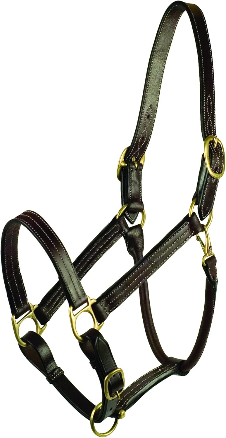 Gatsby Premium Adj Triple Stitched Halter