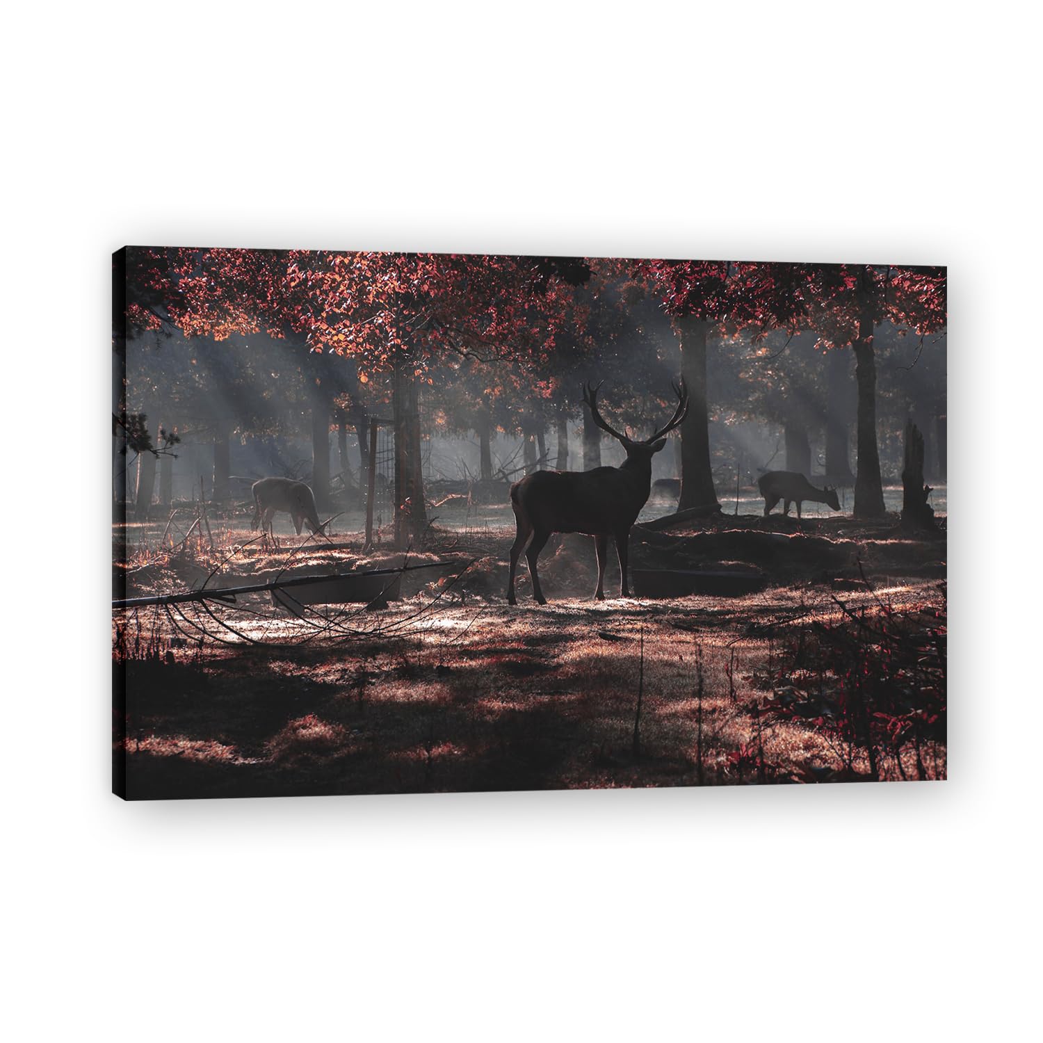 VHdfgTY ForagingLarge Mountain Landscape Canvas Wall Art Nature Scenery for Home Decor 70x105cm Framed