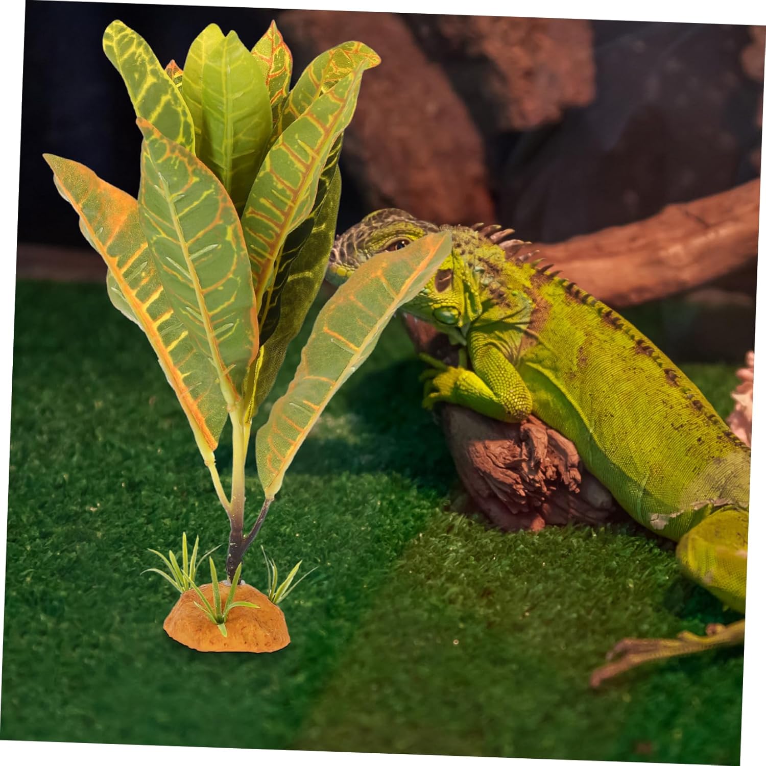 BESPORTBLE 5pcs Artificial Reptile Plant Aquarium Live Plant Ornament Decorative Snake Fish Tank Decor Reptile Terrarium Decor
