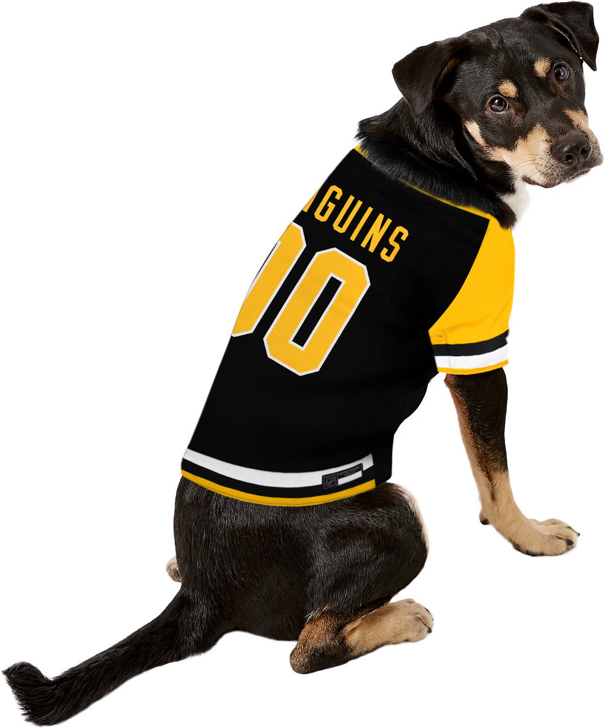 Penguins dog jersey Clearance