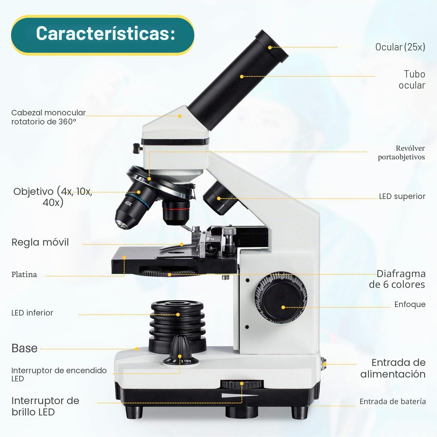 MAXLAPTER Microscopio LED 2000x con Regla móvil – Óptica de Laboratorio con Cuchillas preparadas y en Blanco – Adaptador de Lente
