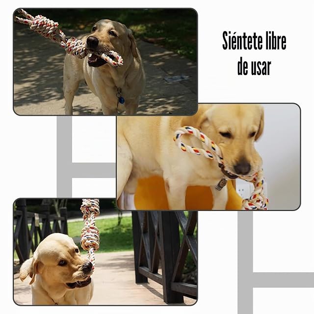 Foto 6 de 6 de NyxSeat 1 cuerda de juguete para perros de 40 cm, juguete para perros pequeños y medianos