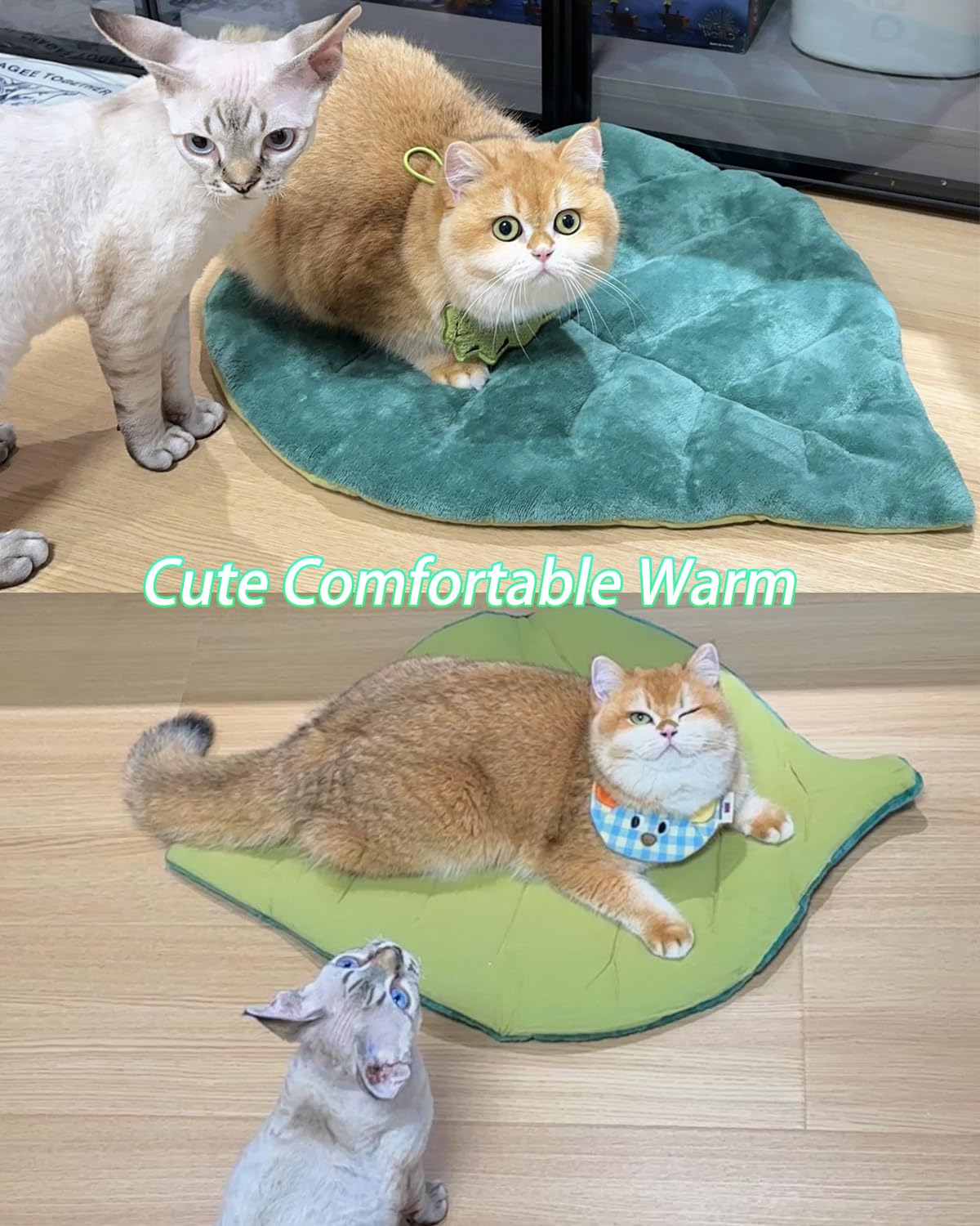 Tappetino per gatti autoriscaldante per gatti, 66 x 50 cm, a forma di foglia, in cotone, morbido e caldo, per interni, divano, pavimenti, materasso caldo per cani e gatti (verde)