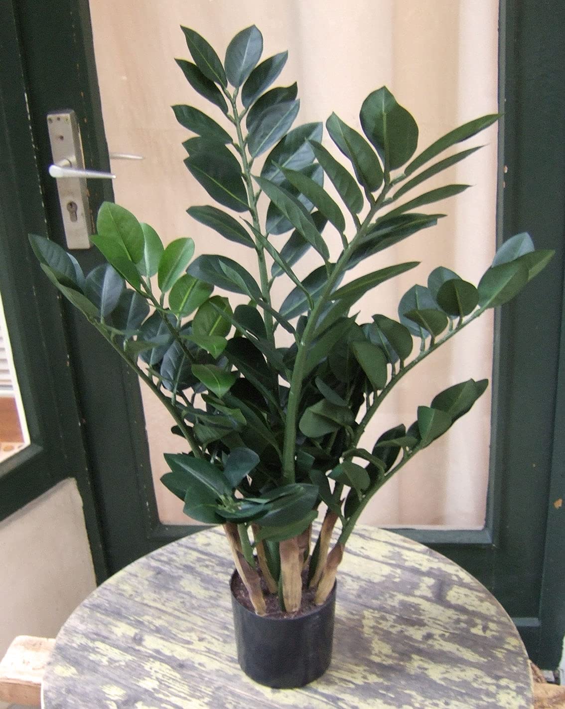 Licht & Grün Künstliche Zamioculcas Kunstpflanze Dekopflanze