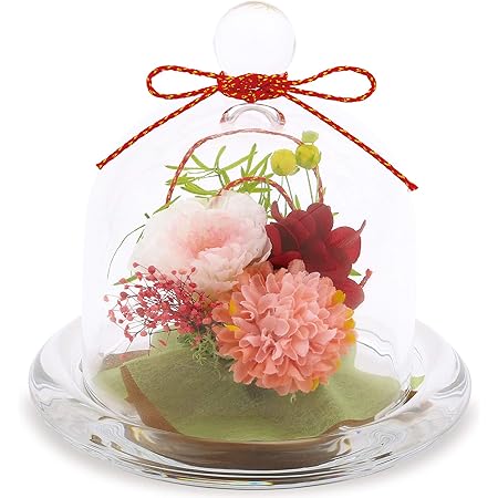 Amazon Lilys Epice リリスエピス プリザーブドフラワー 和風 ガラスドームアレンジ 母の日 敬老の日 誕生日 プレゼント 日本製 茜 あかね Wp1rd プリザーブドフラワー オンライン通販