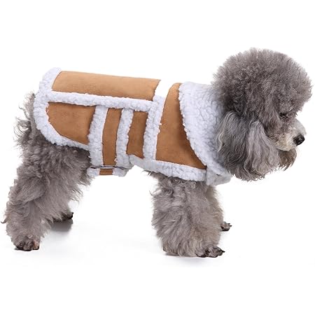 sheepskin dog jacket