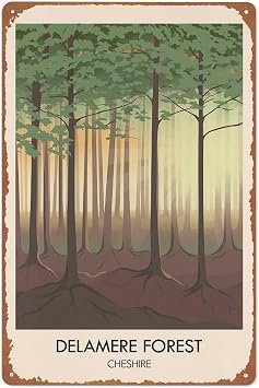 Vintage Metal Signs Delamere Forest Poster Wall Art Sign For Room Office Coffee Bar Decor 8x12 inches
