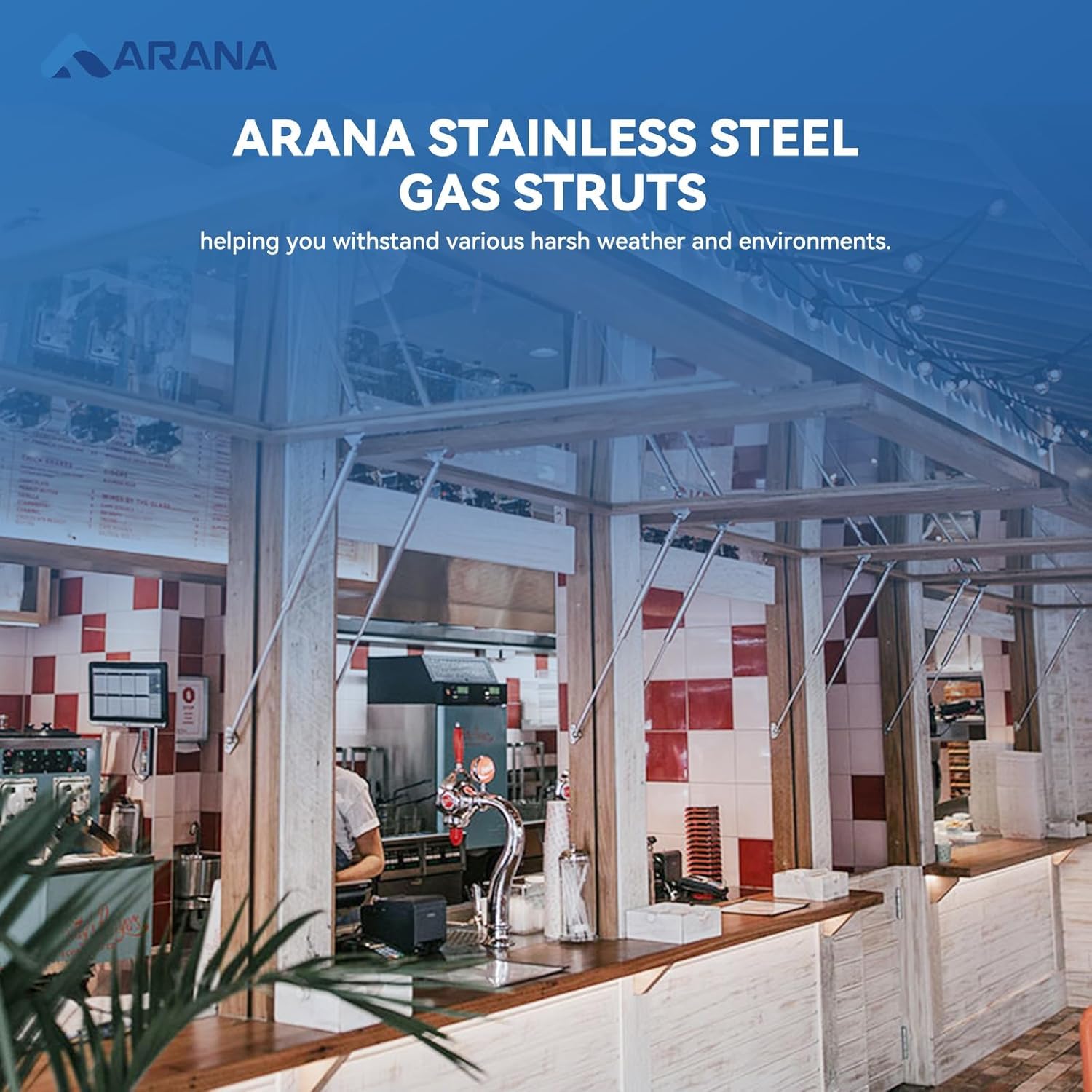 ARANA Stainless Gas Struts 15 inch 22.5lbs, Marine Gas Struts 15 inch 100N with Brackets, Hydraulic Lift Support Hinges for Light Duty Cabinet Door Lid Tool Storage Box(Fit 18-25lb Lid), 2 Pcs