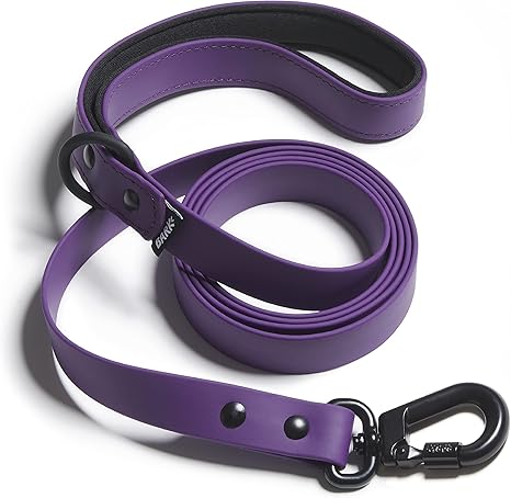 purple dog leash
