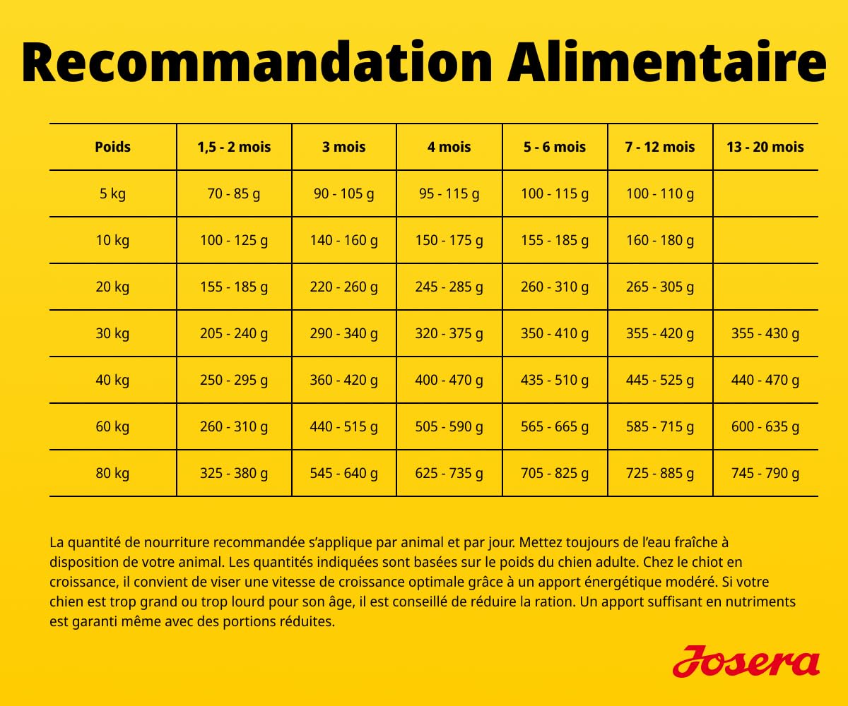 JOSERA Junior YoungStar Poulet & Pommes de Terre (1 x 12,5 kg) | Croquettes pour Chiots de Races Moyennes et Grandes | Alimentation pour Un apport Optimal | Nourriture sèche sans céréales | Pack 1