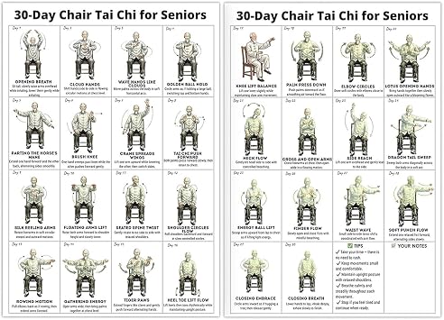 2PCS Tai Chi Chair Workout, Seated Exercise Chart for Seniors Home