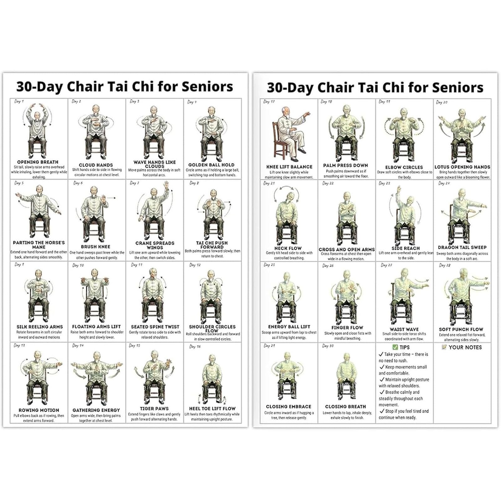 FveVqe 2PCS Tai Chi Chair Workout, Seated Exercise Chart for Seniors Home