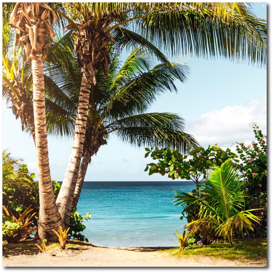 VictoryStore Photo Backdrop: Palm Tree Backdrop 52 Inches by 52 Inches Waterproof Vinyl Banner