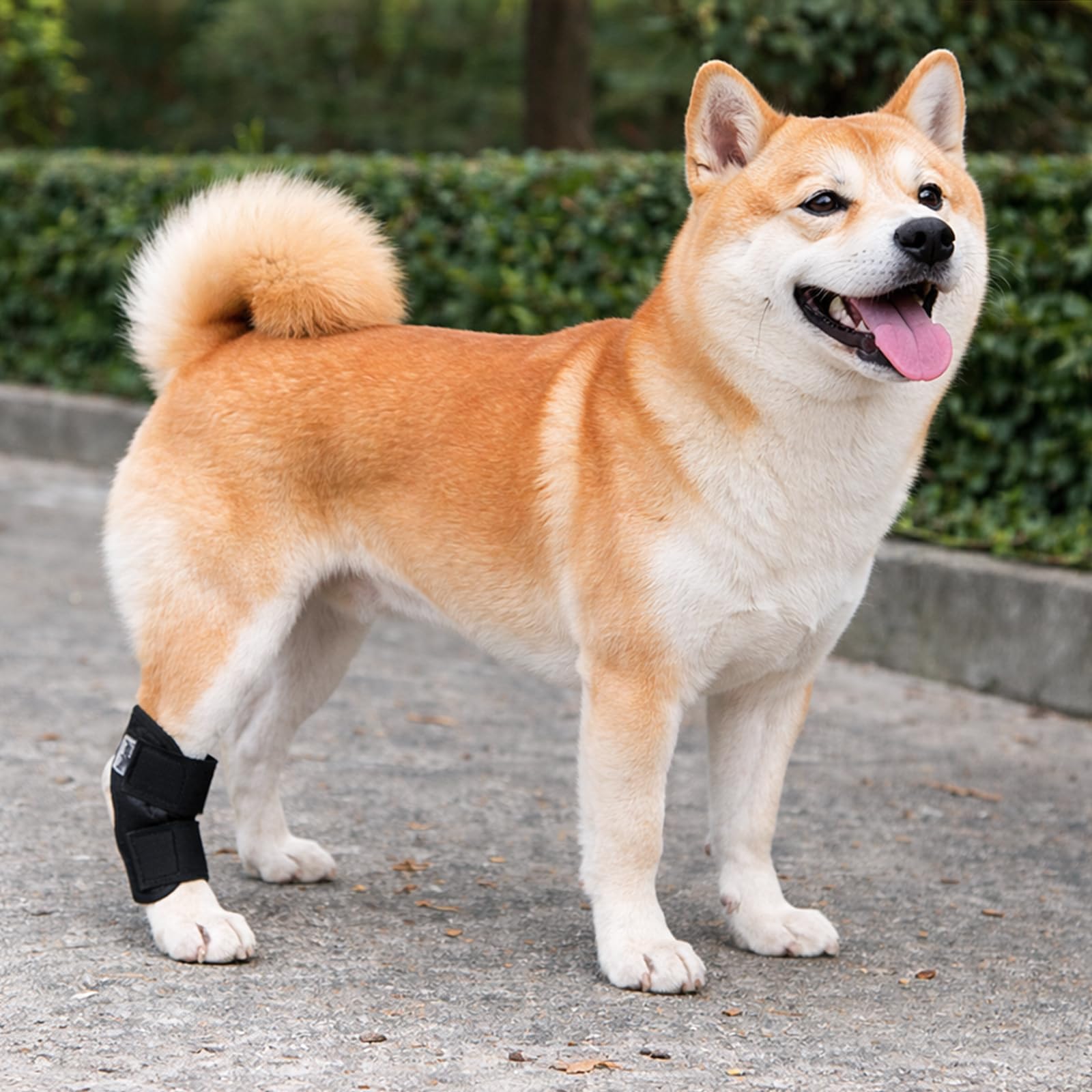 ポコポコ商店 犬用 足サポーター 小型犬 S 前後足対応 足舐め防止 関節保護 ナックリング対策 歩行補助 老犬介護 水洗い可能（短-L） | 足舐め防止、関節保護、ナックリング対策、老犬介護、術後ケア時の歩行補助に使いやすい犬用足サポーターです