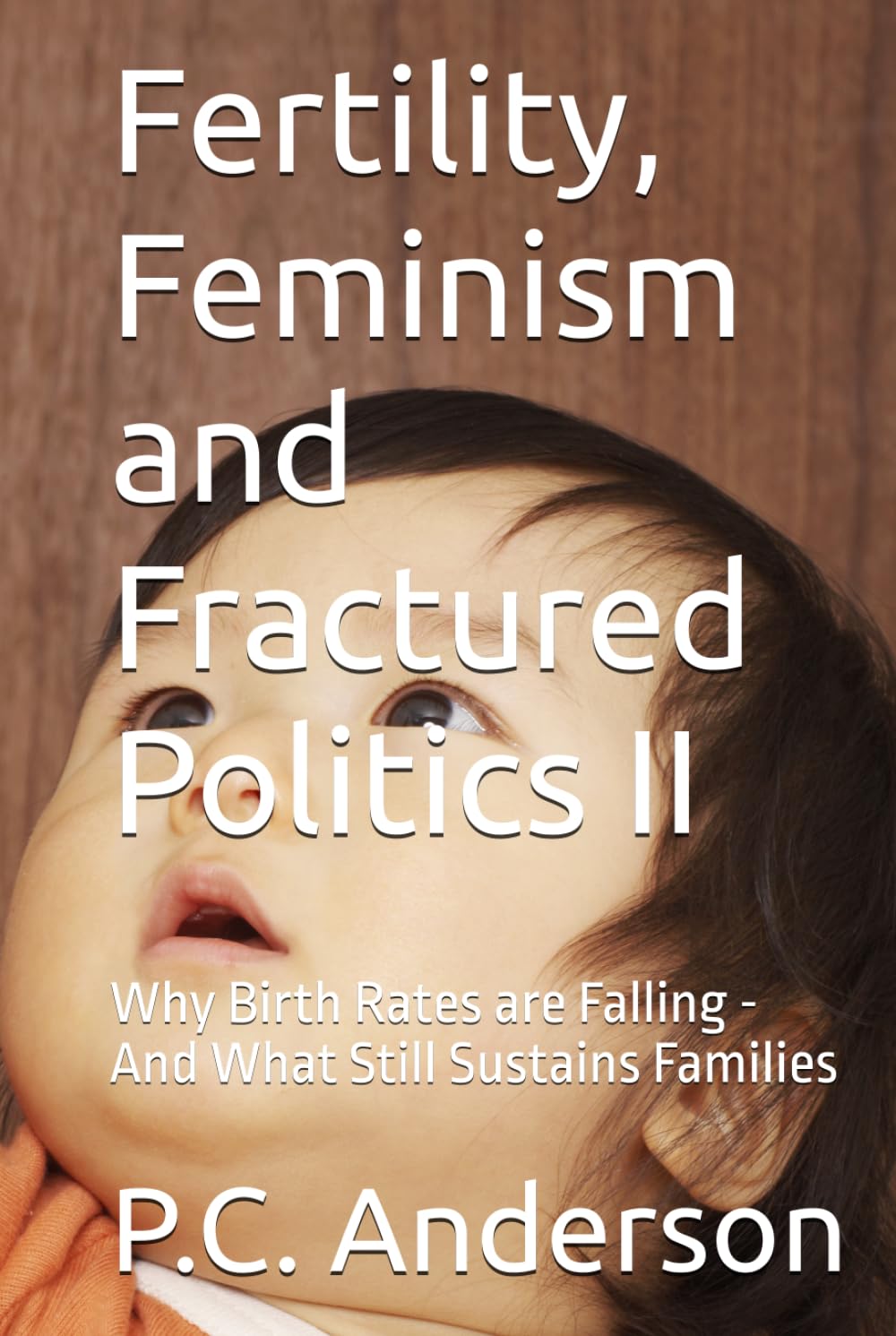 Fertility, Feminism and Fractured Politics II: Why Birth Rates are Falling - And What Still Sustains Families