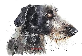 Scottish Deer Hound - Print Watercolour, Scottish Deer Hound art, Scottish Deer Hound print, Scottish Deer Hound Wall décor, Scottish Deer Hound Watercolour Print