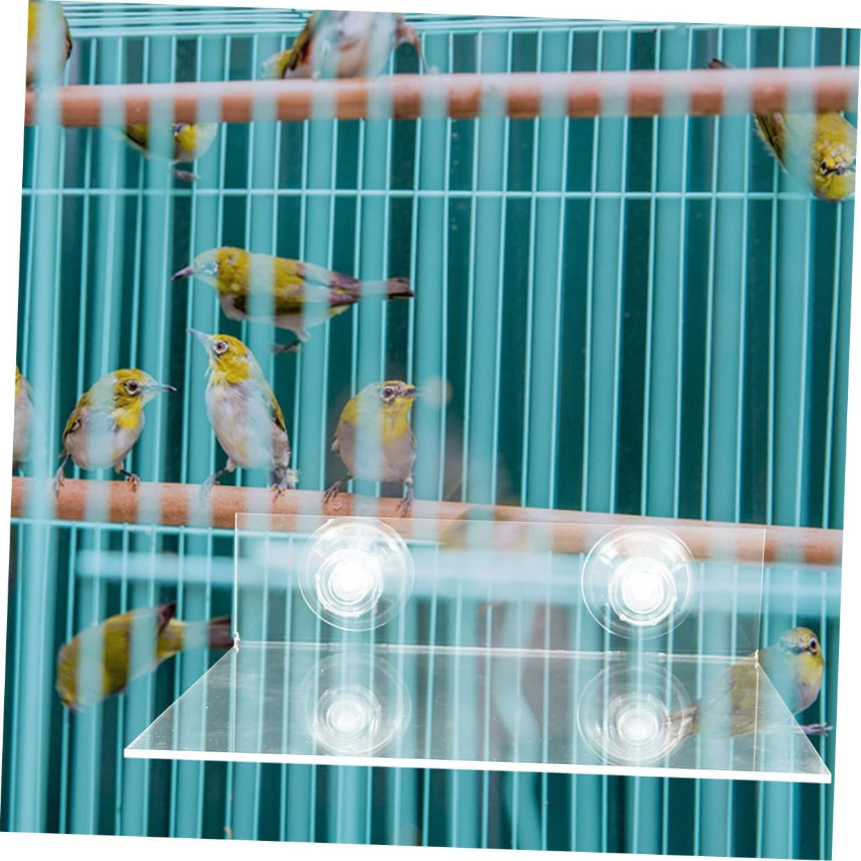 2Pcs Parrot Window Perch with Suction Cup Adjustable Height Bird Stand Portable Bird Platform for Parakeets Indoor Outdoor Height Adjustable